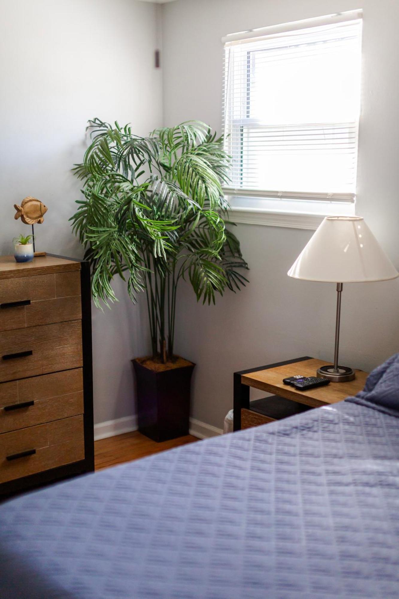 Fantastic 3br Close To Botanical Gardens And Airport *